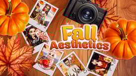 Game: Fall Aesthetics