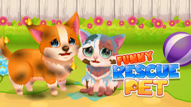 Game: Funny Rescue Pet