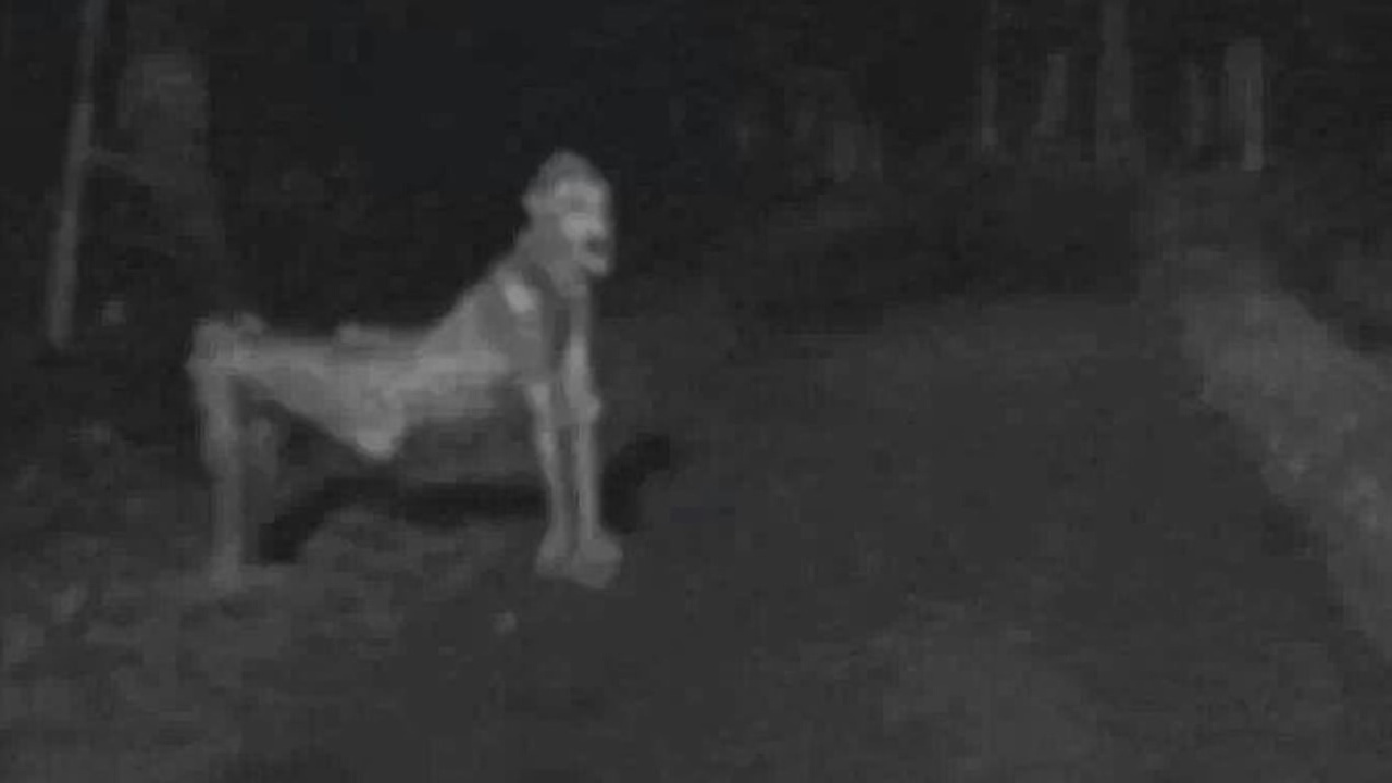 Game: Skinwalker